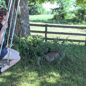 There was a swing on the property - away from the Hobbit House and near the barn area.