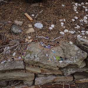 The walk from the cabin to the old artists' home is littered with remnants of their art.