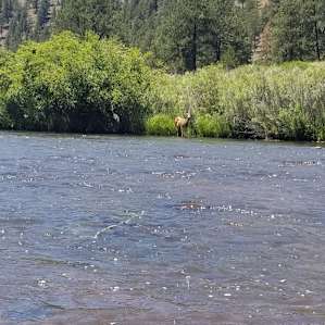 Platte River
