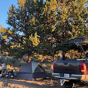 Campsite in the juniper shade