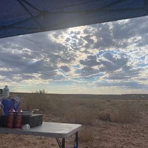 Desert skys
