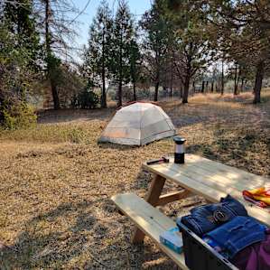 Nice picnic table and ample open space to set up your tent