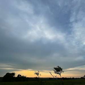 The Kansas Prairie