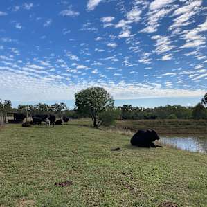 Alaryn Farm - Farm stay/ by the dam