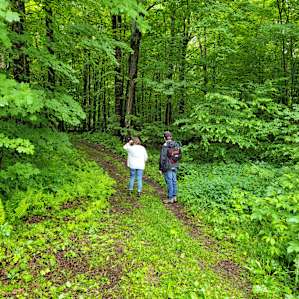 Hiking Hogback Ridge