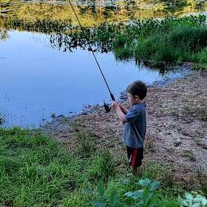 Chapman Pond Acres