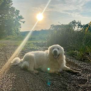 One of the roaming guardians, very sweet!