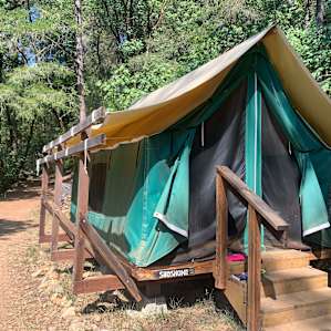 #5 Private Camping along Creek