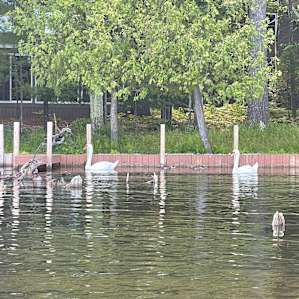 Griff’s River Lot