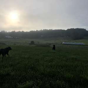 Waking for a early sunrise with my boys