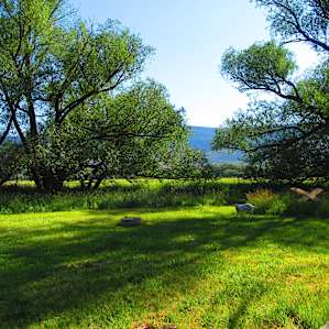Shaded Private Camp Site