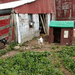 PB Farm Rustic camping