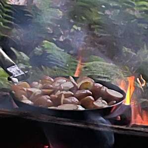 Dinner on the fire.
