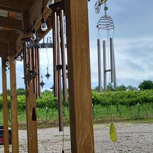 Vinedo del Alamo Vineyard