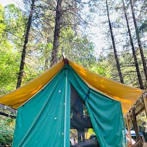 Canvas Tent Creekside #4