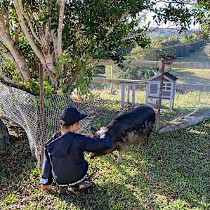 Our overnight stay @ Belmont Farm🌈🌿✨🐔🐌🐖🐄
