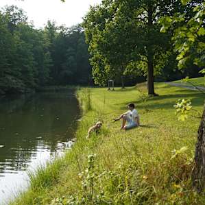 Wild Toad Lake