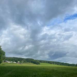 Sugar Wood Meadows Camping