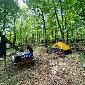 South Woodlot