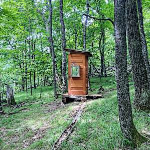 South Woodlot