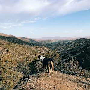 This picture is off of one of the Mountain View sites