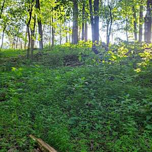 View of the hill beside the campsite. Up there is the big open field.