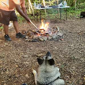 Wife and dog watching the husband build/tend the fire