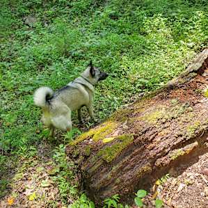 Exploring
