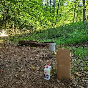 Creekside Camping, Forest & Field