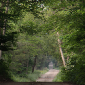 Seasonal Road - just a few neighbors use the road throughout the day