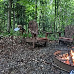 Camp 420