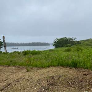 Salt Pond Perfection