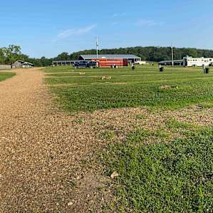 Campsites on Horse Ranch with Creek