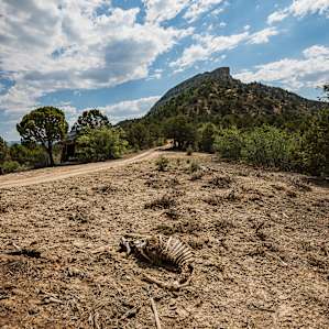 You may see a sheep skeleton if you explore enough. This is an area for sheep to graze after all.