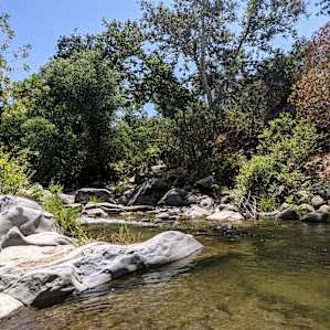 River Site Glorious #1