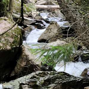 Wishbone Left by Brook S. Newfane
