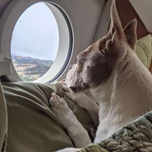 Gus The Bus on Sunset Ridge