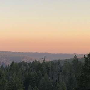 160 Acres amidst National Forest