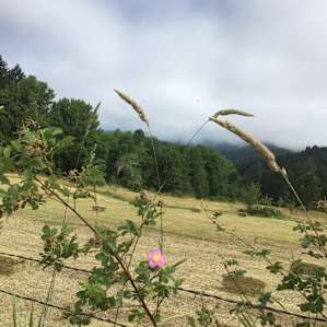 Serenity Grove at North Fork