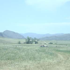 View West