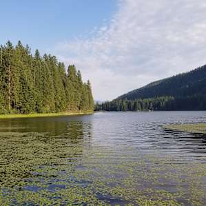 Wooded Site on Secluded Lake
