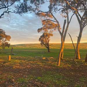 Riverton - Tiny Creek Paddock