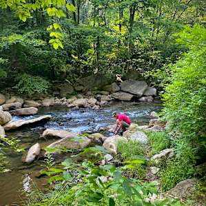 Abrams Creek Campground