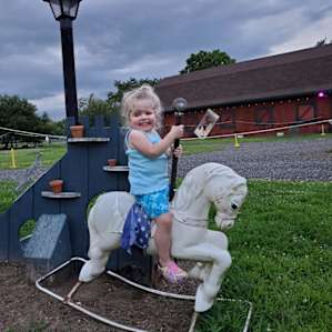 Countryside horse farm