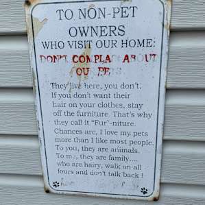 Jen’s cats, dogs and horses are great hosts too!