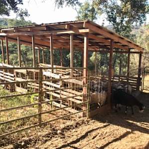 Wilderness Bridge
