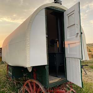 The covered wa