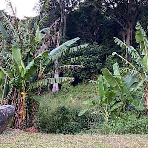 Mirimbi Eco Retreat