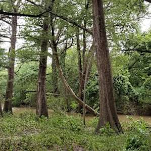 Old Herrera Ranch - Medina River