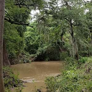 Old Herrera Ranch - Medina River